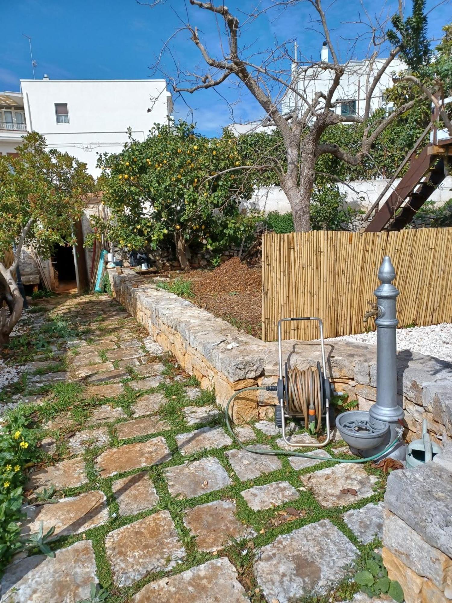 Trullo Vacanza Альберобелло Екстер'єр фото