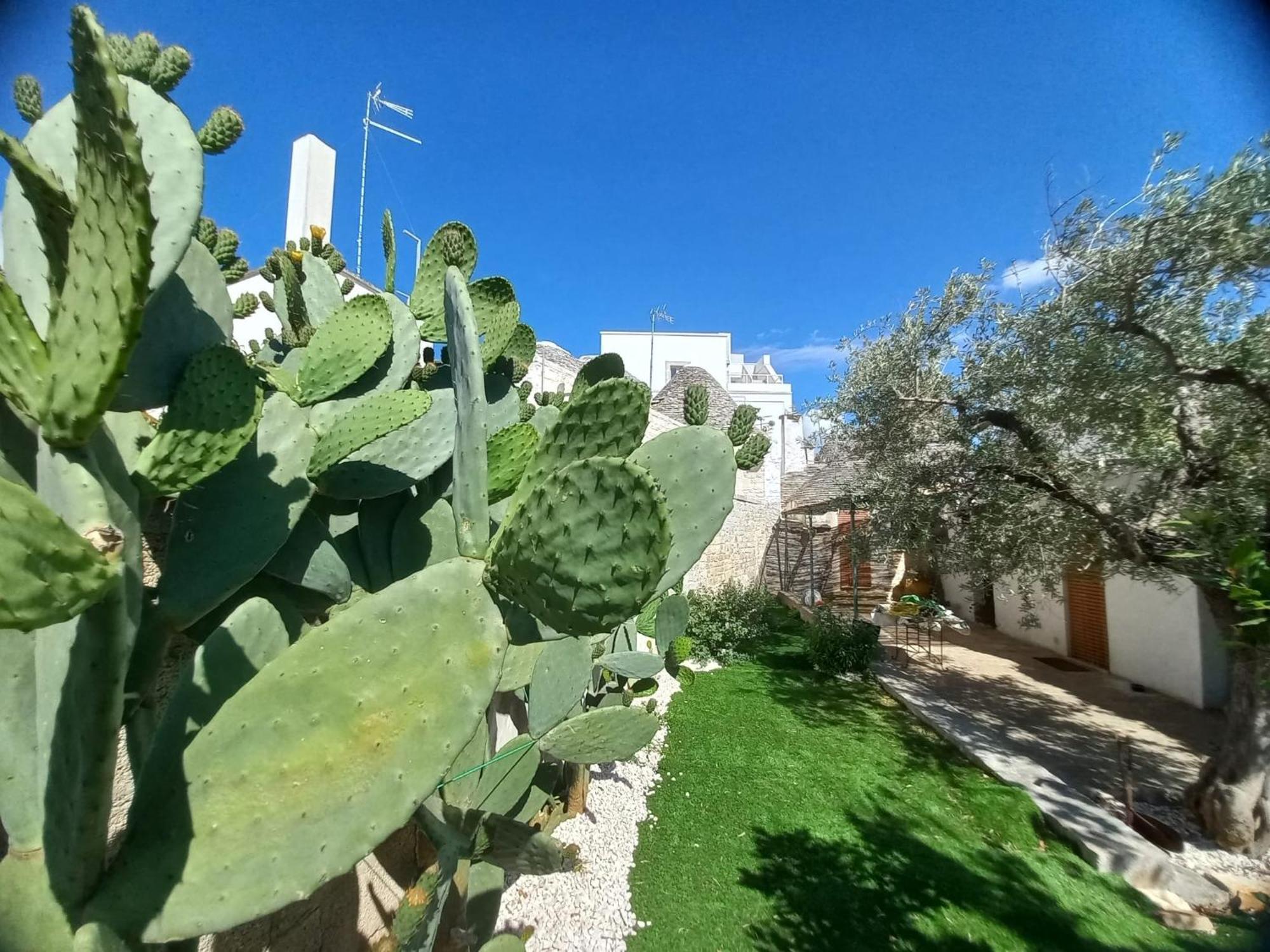 Trullo Vacanza Альберобелло Номер фото
